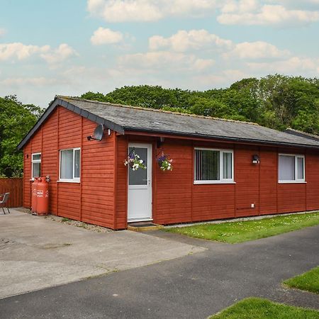 Bumblebee Lodge Staithes Kültér fotó